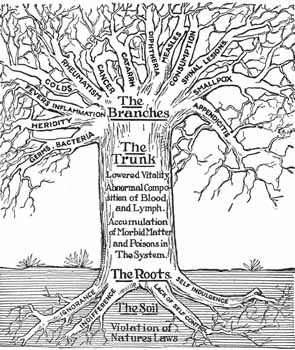 Lindlahr Tree of illness
