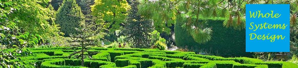 ...design learned from the first teacher...Nature