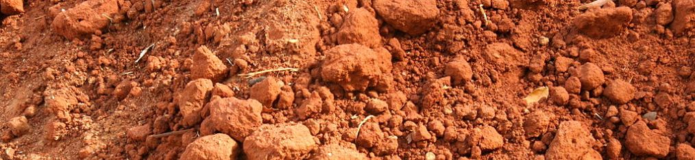 The Element of Earth